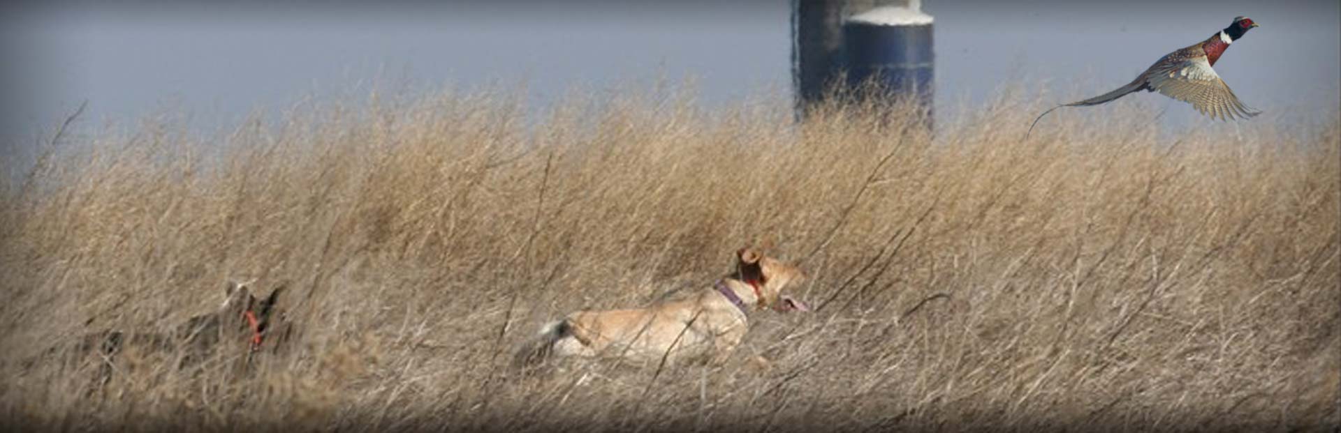 About Hybrid Retrievers About Hybrid Retrievers