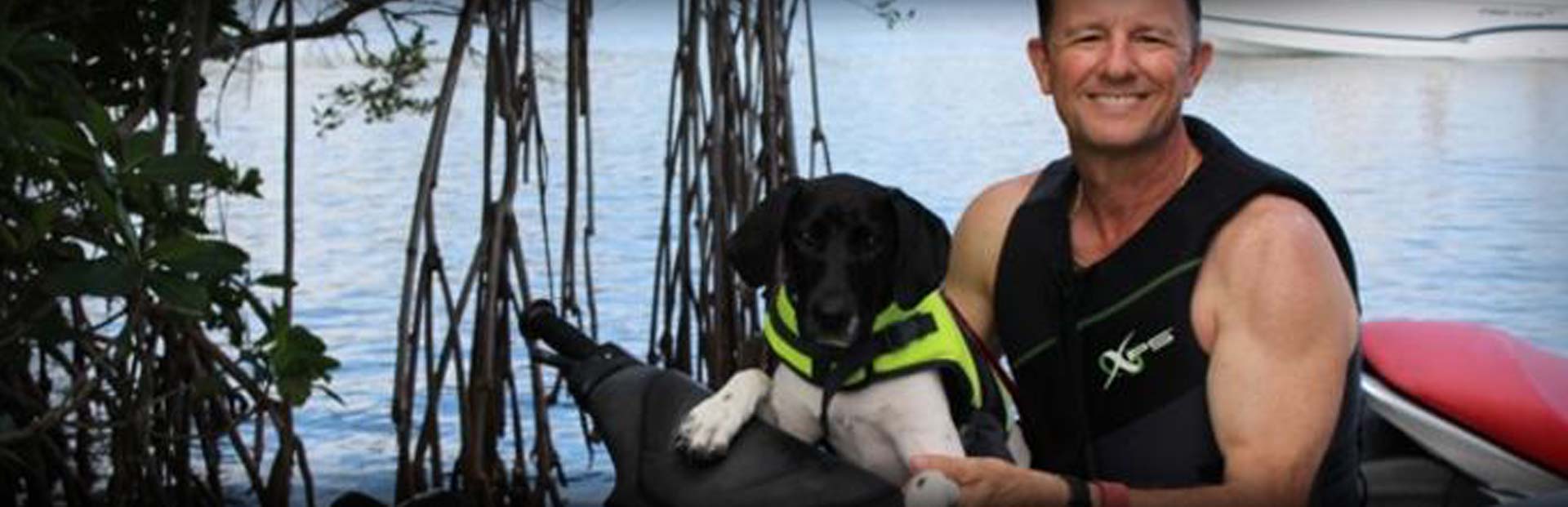 Hybrid Retrievers Testimonials Hybrid Retrievers Testimonials