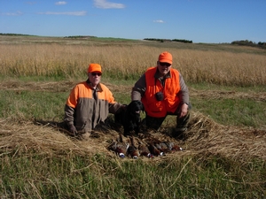 Pheasant Hunting Dogs For Sale In South Dakota Pheasant Hunting Dogs For Sale In South Dakota