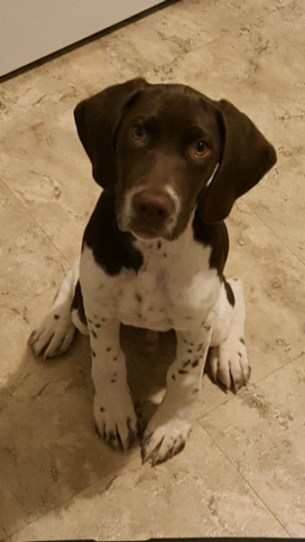 Amy